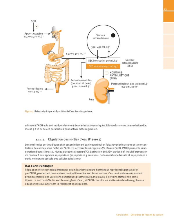 CM-CNEAR_Manuel_metabolisme_Page_8